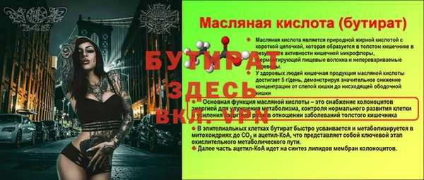 шишки Михайловск