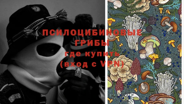 метадон Михайлов