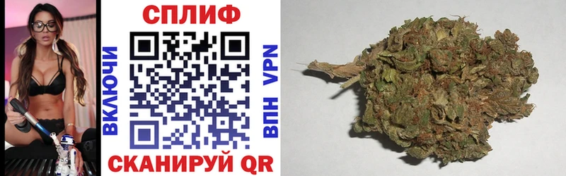 Шишки марихуана планчик Ивангород